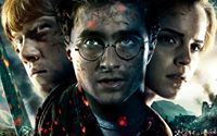 Hanif Potter