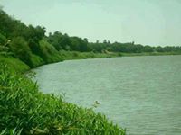 عثمان ابوعرب