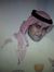 Abdulla...