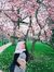 Afifah ...