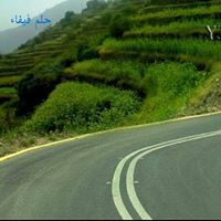 أحمد الفيفي