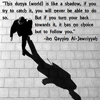 রিজভী পত্র