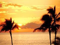 محمد الشنيني