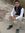 Puran D...