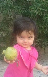 Hussam Ajeel