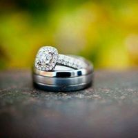 اريج الزهور