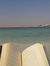 Amr Hemaid