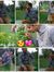 Wasim R...