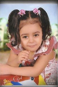 وليد الشهاوي