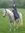 R.A. Steffan (ra_steffan) | 63 comments