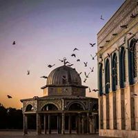 Esraa Ahmed