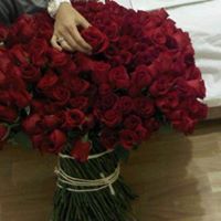 زوزو النتفه