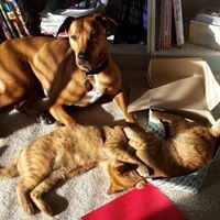 Bobbi Mignerey-Colson