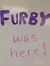 Jeri Furby