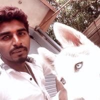 Chetan Reddy