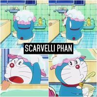 Scarvelli Phan