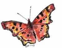 Ольга Креховець