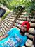 Sardar Ji