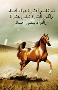 Abdualmohiamen Mohamed