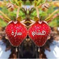 ينبوع الاحلام