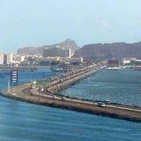 احمد الربيعي