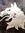 Andrew Hunter | 12 comments