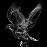 غريب المتغرب