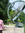 A. (Gunawan) | 1 comments