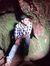 Kaushik Mn