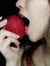 Alice Dark