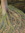 Jana Denardo | 107 comments
