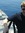 William Battersby | 1 comments