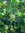 Ronnie Schiller (ronnieschiller) | 2 comments