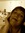 Nicole