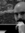 Miguel Molins | 3 comments