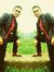Ankur S...
