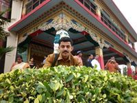 Anvar Ali