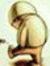 Hamid K...