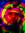 Graeme Wilkinson | 2 comments