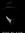 The Black (TheBlackWriter) | 1 comments