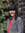 Mel Sherratt (melsherratt)
