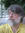 Bill Sanderson | 2 comments