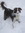 Shaun Tennant (shaun_tennant) | 2 comments