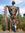 Peter (plok) | 11 comments