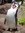 Chad Spencer (chad_spencer) | 1 comments