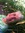 Sandy Morgan (sandy_morgan) | 6 comments