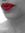 Natasha Storm | 1 comments