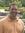 Michael Johnson | 2 comments
