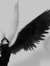 Ariana ArEd