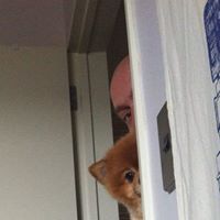 Олег Крючек